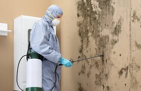 Best Forensic Mold Investigation  in Fairmount, NY